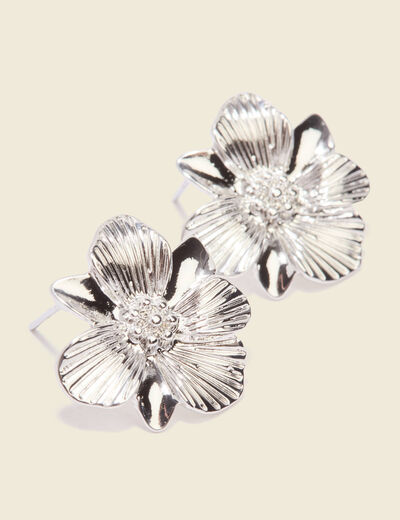 Boucles d'oreilles clous couleur argent femme