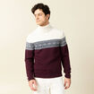 Pull manches longues prune homme