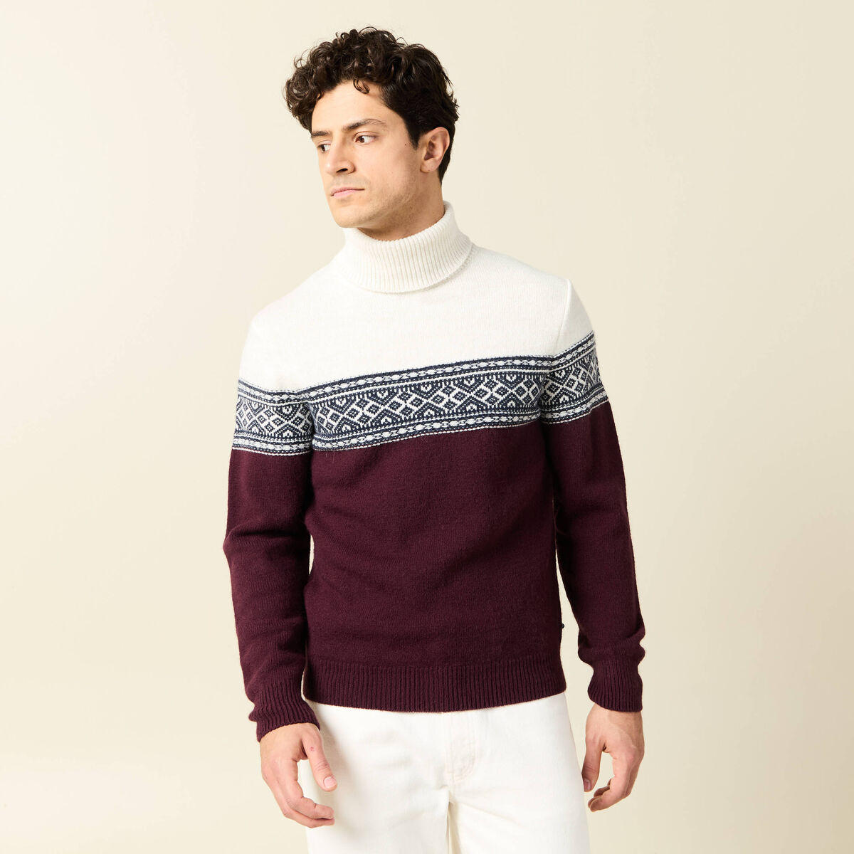 Pull manches longues prune homme