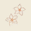 Boucles d'oreilles clous couleur or femme
