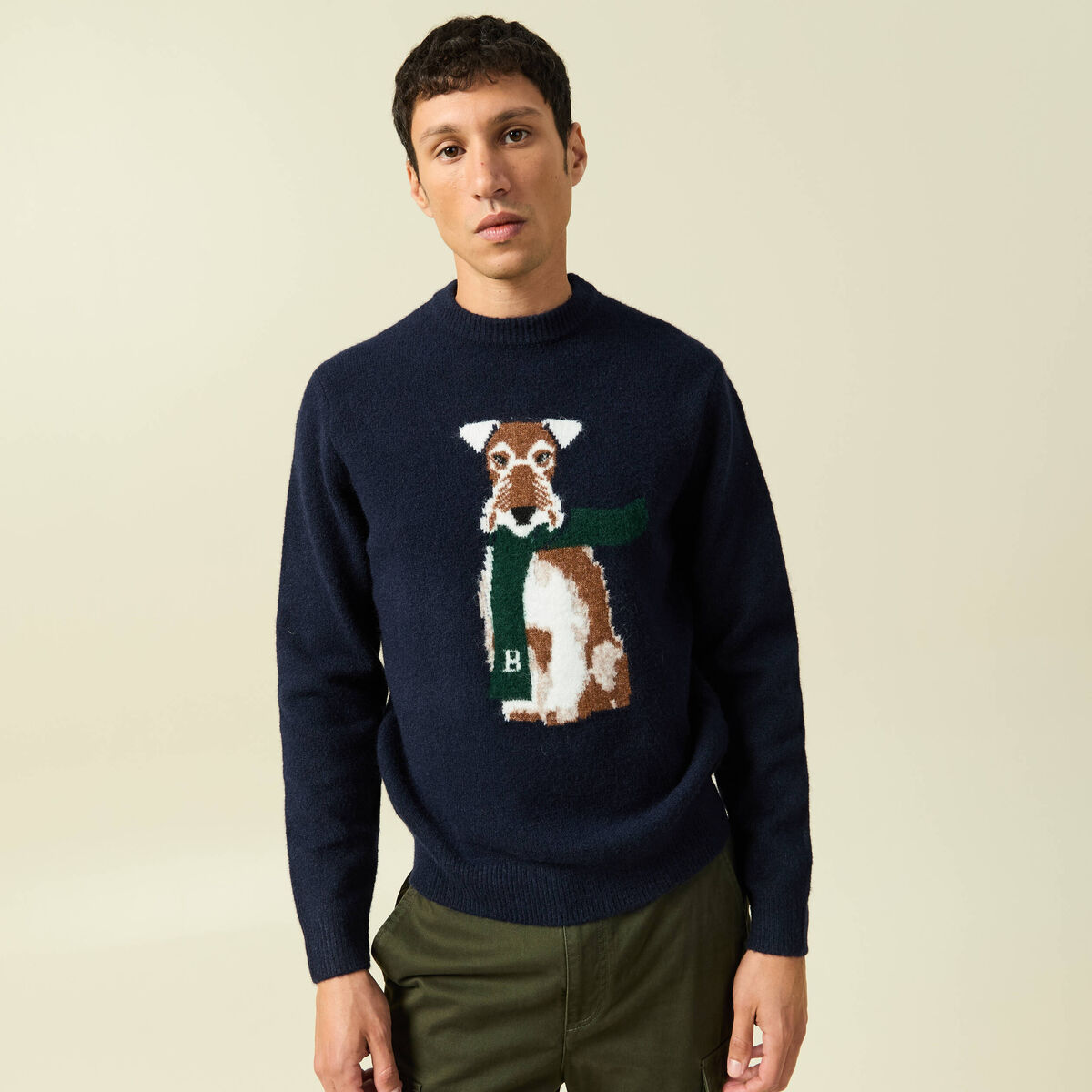 Pull col rond manches longues bleu marine homme