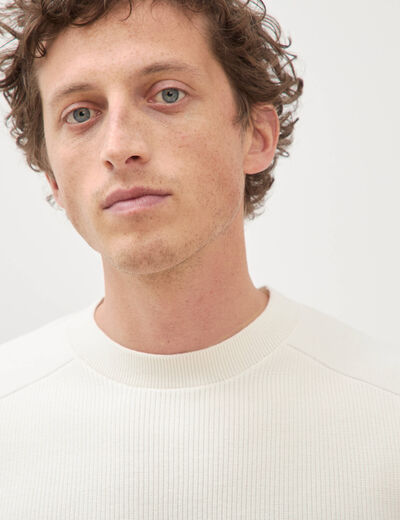 Pull manches longues col rond ecru homme