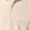 Polo manches courtes taupe homme