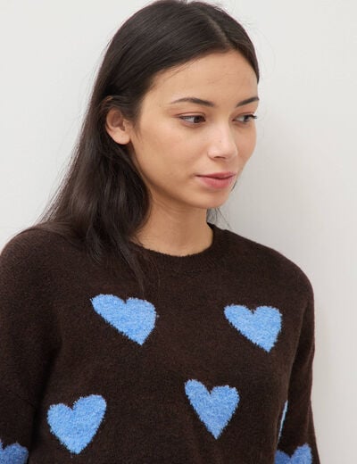 Pull manches longues bouclette col rond marron femme