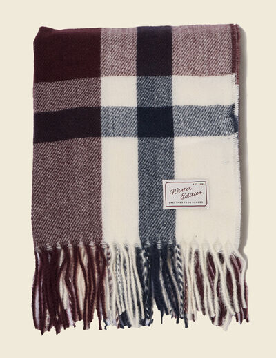 &Eacute;charpe bordeaux homme