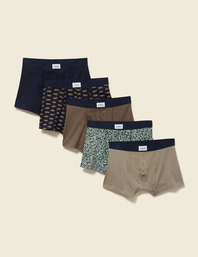 Lot de 5 boxers taupe homme