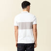 Polo manches courtes taupe homme