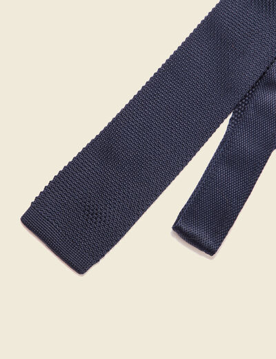 Cravate bleu marine homme