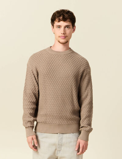 Pull col rond en coton taupe homme
