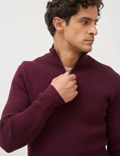 Pull col camionneur prune homme