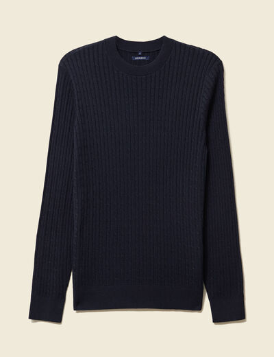 Pull col rond bleu marine homme