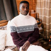 Pull manches longues prune homme