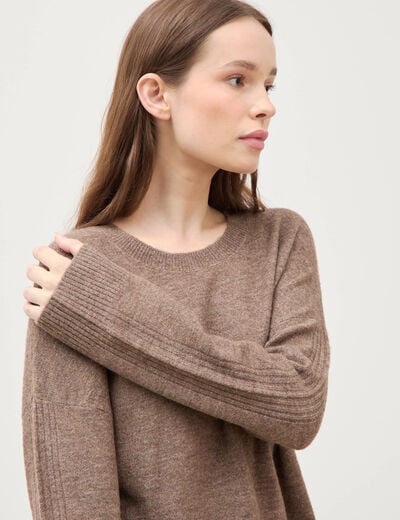 Pull col rond manches longues marron femme