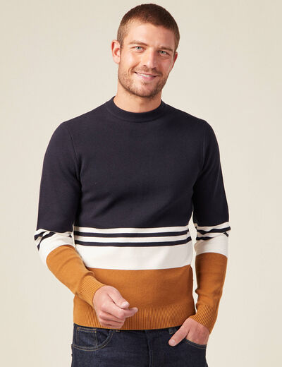 Pull col rond éco-resposnable bleu marine homme