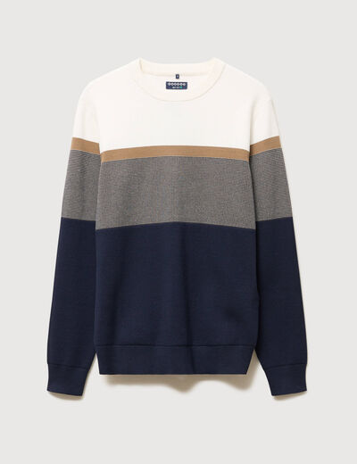 Pull manches longues bleu marine homme