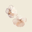 Boucles d'oreilles clous couleur or femme