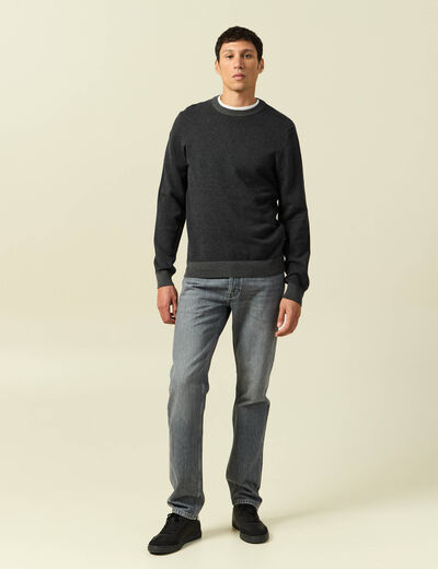 Pull col rond manches longues en coton bleu marine homme