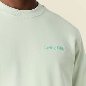 sweat manches longues vert clair homme Sweat manches longues vert clair homme