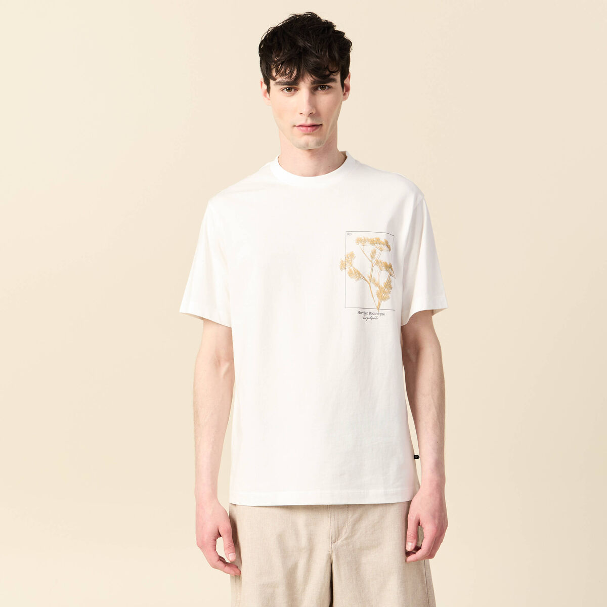 T-shirt manches courtes ecru homme