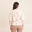 Pull col v manches courtes dentelle ecru femme