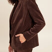 Veste tailleur velours marron femme