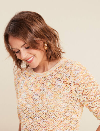 Pull manches courtes ajouré multicolore femme