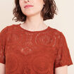 Robe 2 en 1 col rond marron fonc&eacute; femme