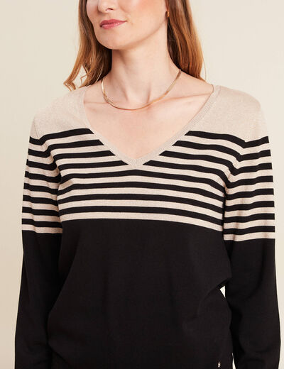 Pull ajust&eacute; col en V noir femme