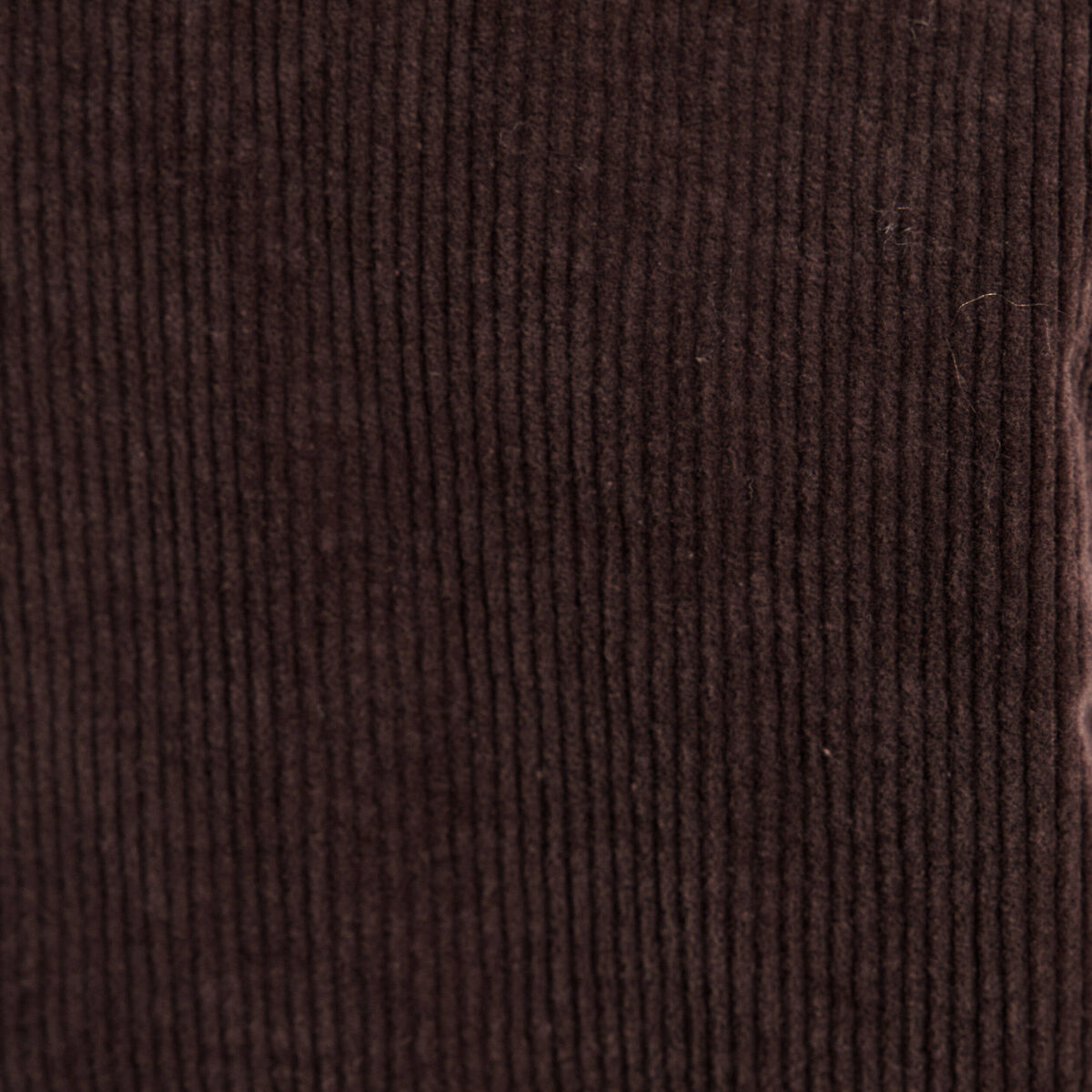Blouson droit velours manches longues marron fonc&eacute; femme