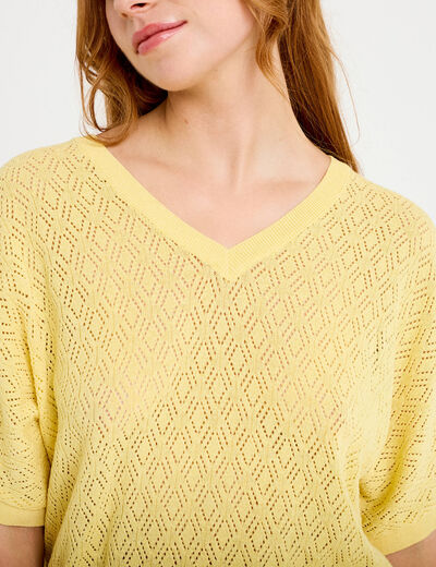Pull ajour&eacute; col v manches courtes jaune pastel femme