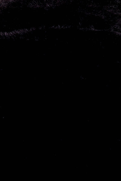 Veste droite sans manches noir femme