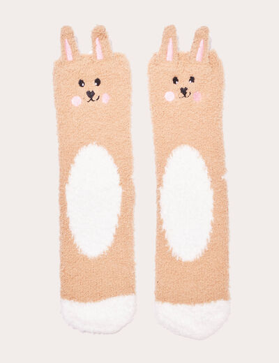 Boîte cadeau chaussettes fantaisie camel femme