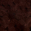 Blouse en dentelle d&eacute;collet&eacute; dos marron fonc&eacute; femme