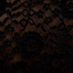 Blouse p&eacute;plum dentelle noir femme