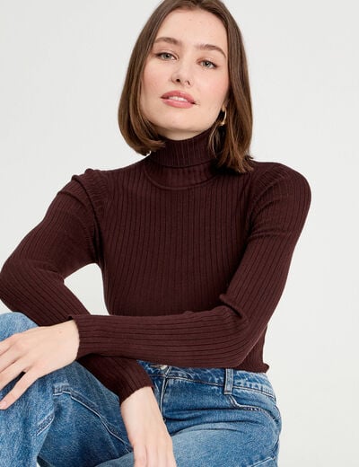 Pull c&ocirc;tel&eacute; col roul&eacute; marron fonc&eacute; femme