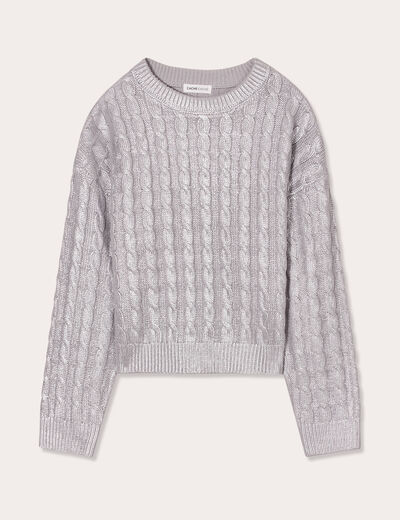 Pull manches longues gris argent femme