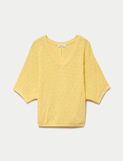 Pull ajour&eacute; col v manches courtes jaune pastel femme
