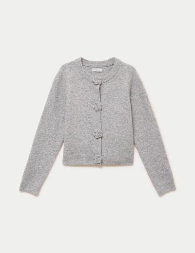 Gilet manches longues col rond gris clair femme