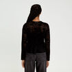 Blouse p&eacute;plum dentelle noir femme