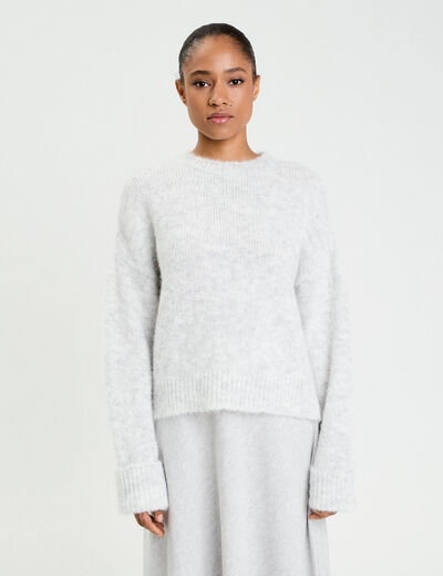 Pull col rond gris clair femme