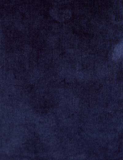 Robe &eacute;vas&eacute;e velours col montant bleu marine femme