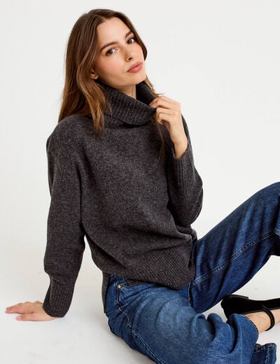 Pull col roul&eacute; manches longues gris femme