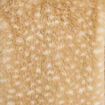 Veste cropped ajustable manches longues beige femme