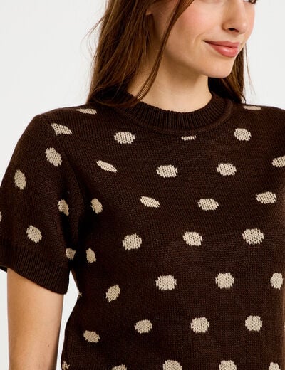 Pull cintr&eacute; col rond manches courtes marron fonc&eacute; femme