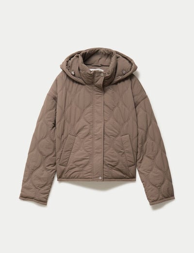 Veste droite &agrave; capuche manches longues taupe femme