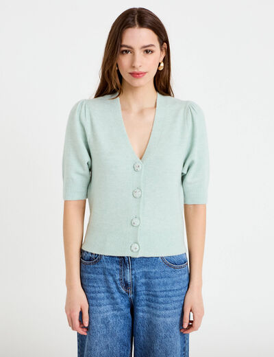 Pull manches courtes boutons brod&eacute;s vert pastel femme