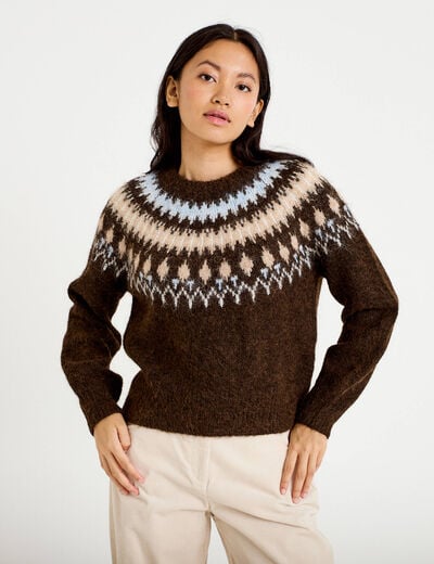 Pull col rond manches longues marron fonc&eacute; femme