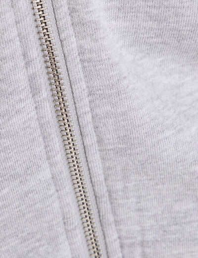 Sweat zipp&eacute; &agrave; capuche gris clair femme