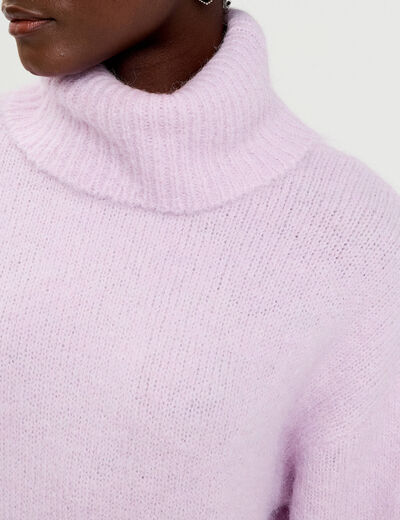 Robe pull col roul&eacute; parme femme