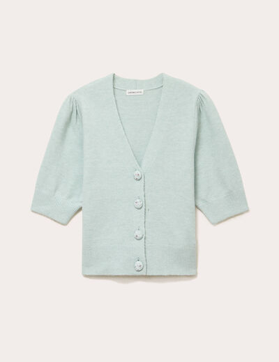 Pull manches courtes boutons brod&eacute;s vert pastel femme